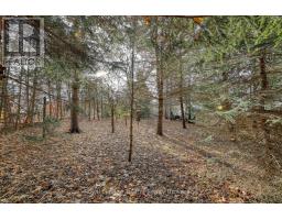 146 WHITING STREET - 18