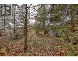 146 WHITING STREET - 20