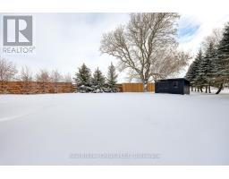 574246 OLD SCHOOL LINE - 48