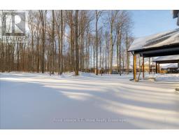 49 SUNVIEW DRIVE - 5