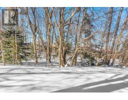 21 WINDEMERE AVENUE - 6