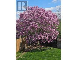 224 BREMBEL COURT - 44