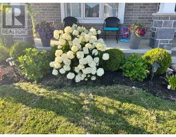 241 WILSON AVENUE - 32