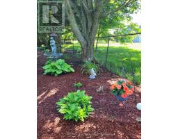 2487 MOSSLEY DRIVE - 41