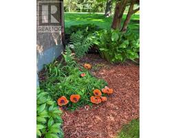 2487 MOSSLEY DRIVE - 43