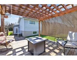 48 TAGGE STREET - 36