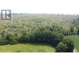 PT LT 3 LAKESHORE ROAD - 4