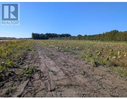 7343 Plank Road, MLS X12434762