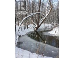 10455 COYLE ROAD - 39