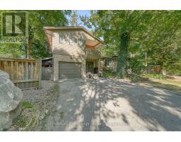 248 VANSITTART AVENUE - 2