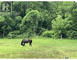 2 WHYLIE - 596101 OXFORD 59 HIGHWAY - 21