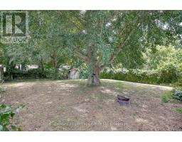 252 FIFTH AVENUE - 16