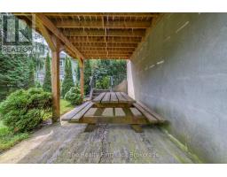 319 ROBINSON STREET - 38