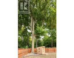 155 VANSITTART AVENUE - 42