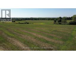5629 CATHERINE STREET - 25