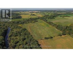 5629 CATHERINE STREET - 7