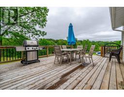 55833 EDEN LINE - 12