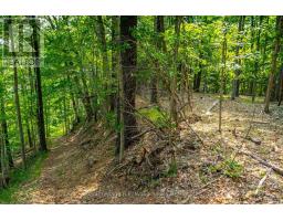 55833 EDEN LINE - 18