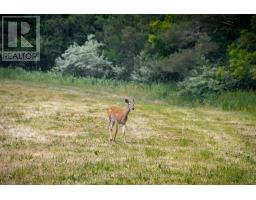 55833 EDEN LINE - 20