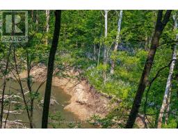 55833 EDEN LINE - 21