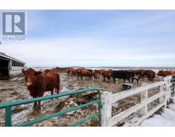 533968 CEDAR LINE - 40