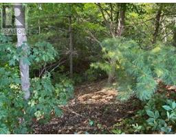 18 WILKINS CRESCENT - 5