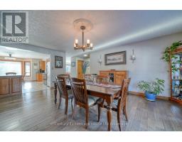 55846 LIGHT LINE - 15