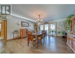 55846 LIGHT LINE - 16