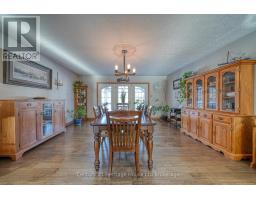 55846 LIGHT LINE - 17