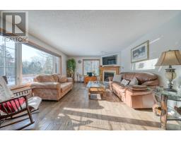 55846 LIGHT LINE - 18