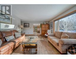 55846 LIGHT LINE - 20