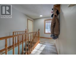 55846 LIGHT LINE - 29