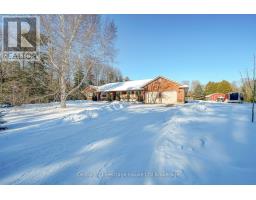 55846 LIGHT LINE - 3