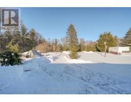 55846 LIGHT LINE - 36