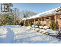 55846 LIGHT LINE - 4