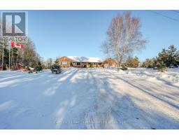 55846 LIGHT LINE - 5