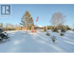 55846 LIGHT LINE - 6