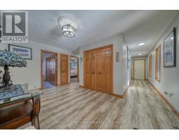 55846 LIGHT LINE - 8