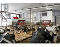 1011 BORNISH DRIVE - 15