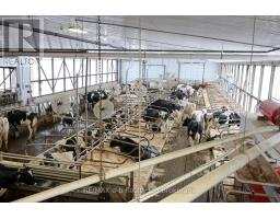 1011 BORNISH DRIVE - 17