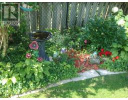 11 GLENWOOD ROAD - 41