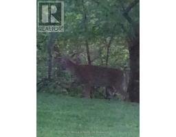 90 WESTON DRIVE - 48