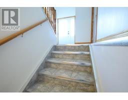 56248 TALBOT LINE - 24