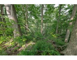189 ROLPH STREET - 41