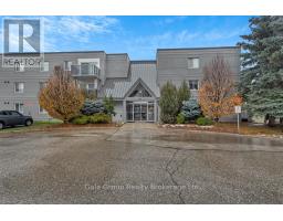 302 - 163 Ferguson Drive, MLS X12132775