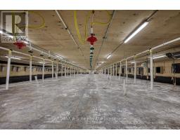 936549 BLENHEIM ROAD - 12