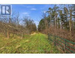 1349 QUEEN STREET - 48