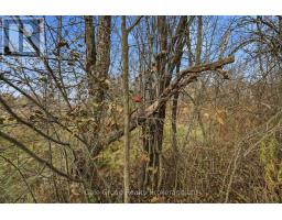 1349 QUEEN STREET - 49