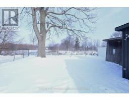 12 MARIAM STREET - 40