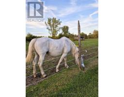 1319 WINDHAM CENTRE ROAD 9 ROAD E - 26